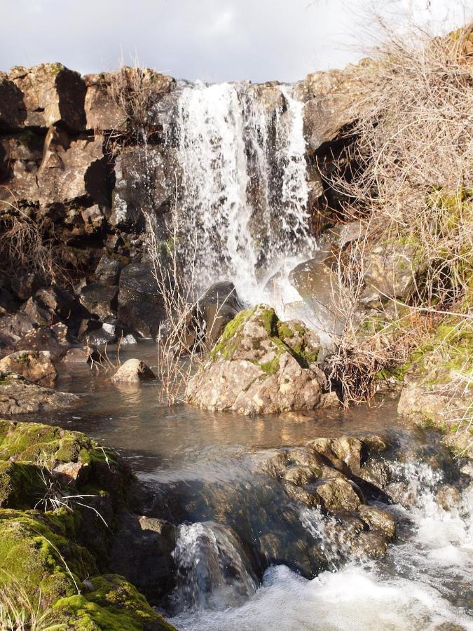 Bear Creek Falls Lodge On 67 Acres Creek & Waterfalls Millville Ngoại thất bức ảnh